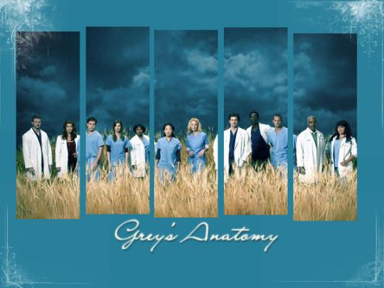 Grey\u0026#39;s Anatomy Desktop Wallpaper -
