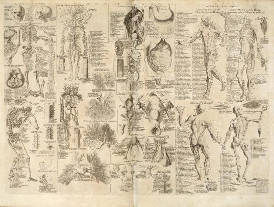 [47+] Grey\u0026#39;s Anatomy Desktop Wallpaper 