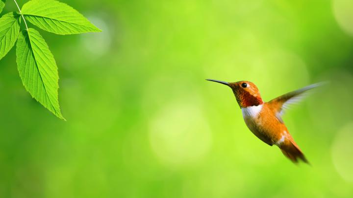 Free download hd desktop wallpapers [3000x1728] for your Desktop 