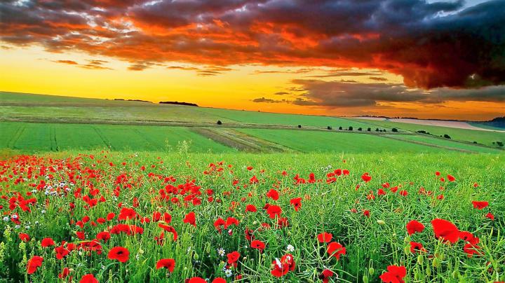 4K wallpaper: Laptop Hd Wallpaper For Mobile 1920x1080 Free Download