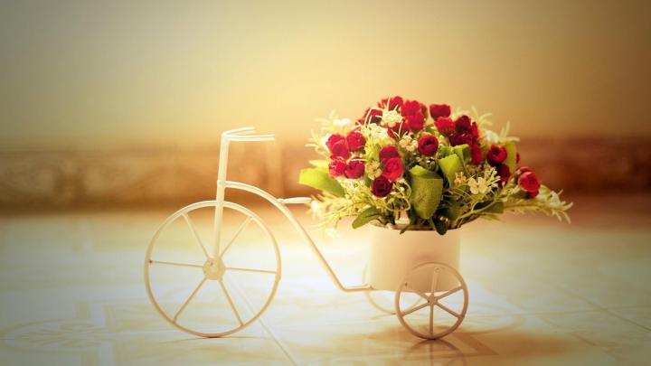 Hd Wallpaper For Mobile 1920x1080 Free Download Love | wallpaper