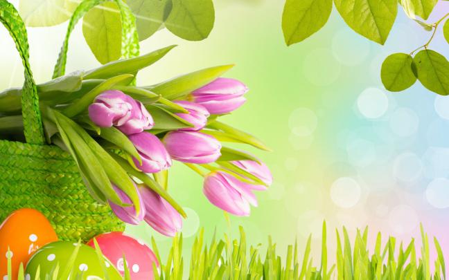 Tulips Background Wallpaper (70+ images)