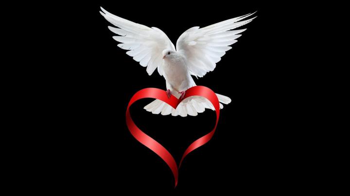 Hd Wallpaper For Mobile 1920x1080 Free Download Love | wallpaper