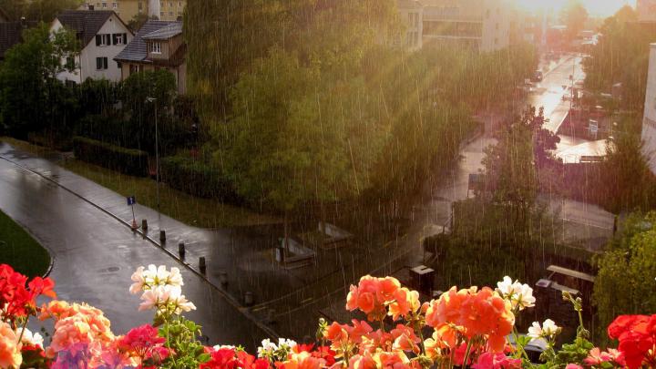 Download Wallpaper 1920x1080 rain, heavy rain, flowers, street, balcony 