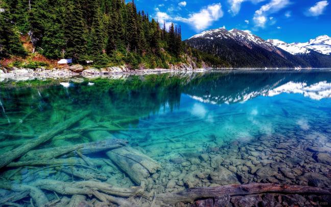 4K Nature Wallpaper -