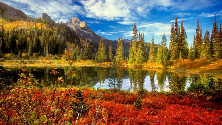 1920x1080 Wallpapers Nature