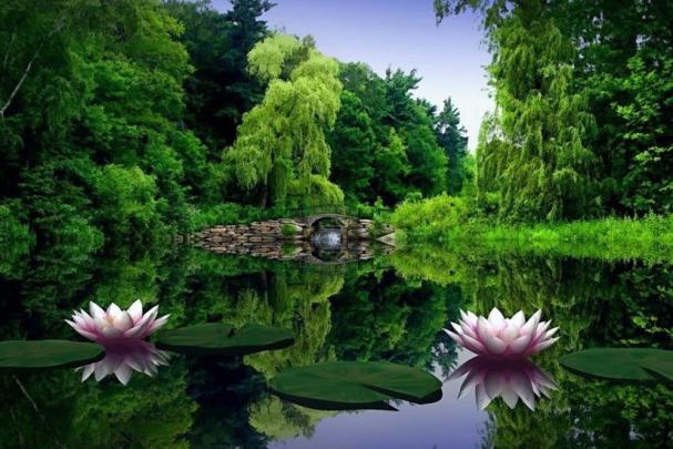 Stories: Windows 10 Nature Desktop Wallpaper 1920x1080