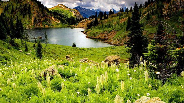 Nature 1920X1080 wallpapers - HD wallpaper Collections - 4kwallpaper.wiki