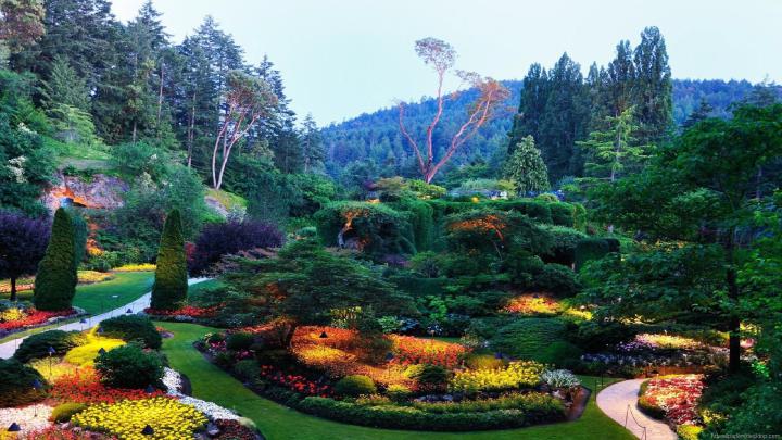 Nature Wallpaper 1920x1080 -