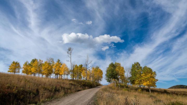 Nature. Desktop wallpaper. 1920x1080