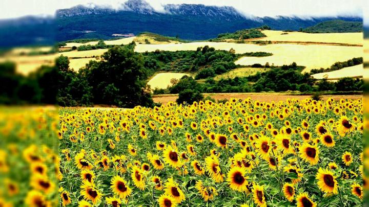 Nature Desktop Wallpapers Backgrounds (68+ background pictures)
