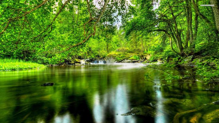 [40+] 1920x1080 HD Wallpaper Nature 