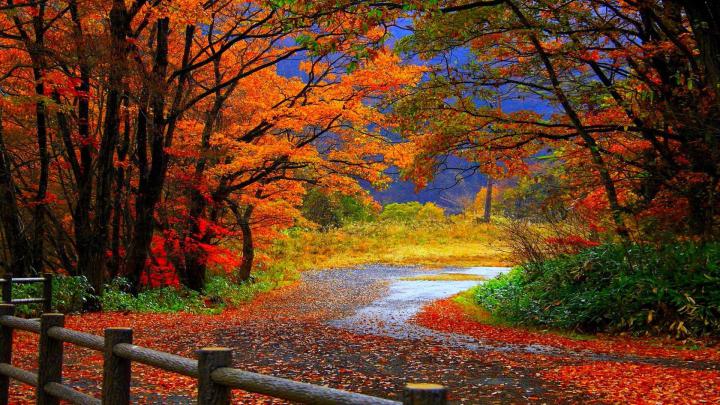 Autumn Wallpaper Backgrounds (60+ images)
