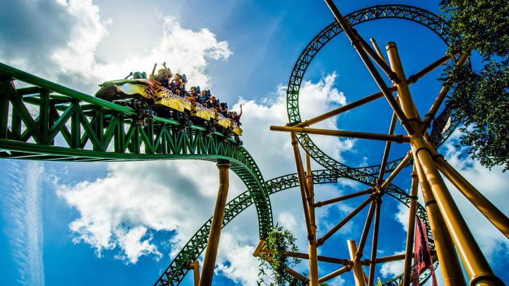 Roller Coaster Wallpaper -