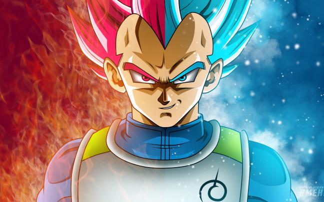 Vegeta Wallpaper 4K Pc - Super Saiyan Blue Vegeta Dragon Ball Super 4K 