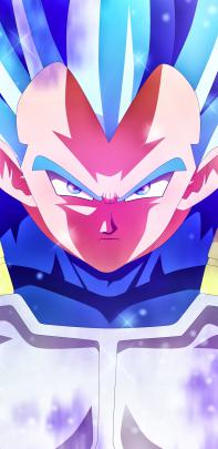 Super Saiyan God Vegeta Wallpaper 4k ~ Quotes and Wallpaper P