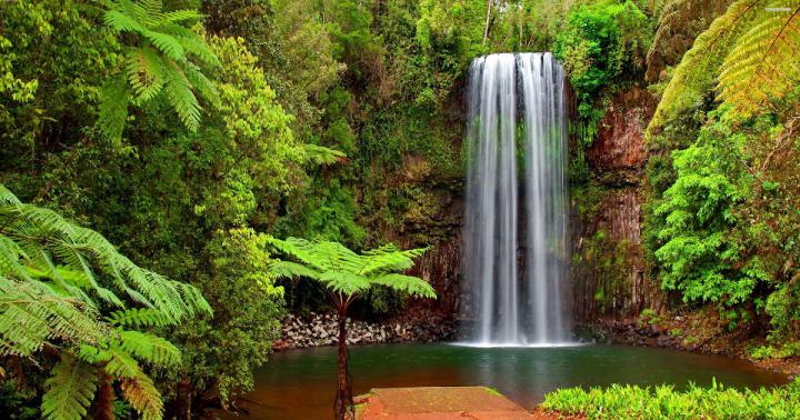 Nature Waterfall Nature Windows Wallpaper 4K - Marian-Nickjonasytu