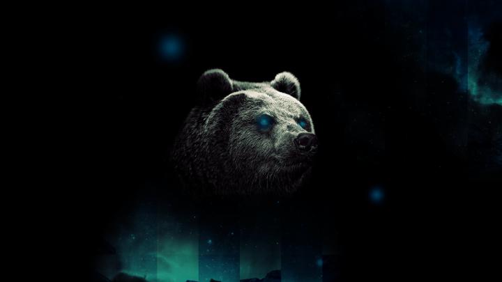 Free Desktop Bear Wallpapers
