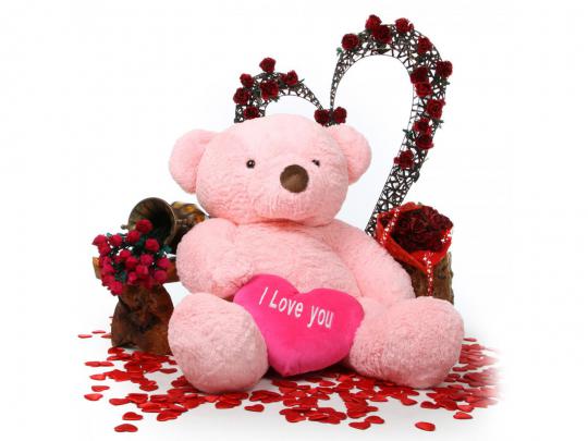 Desktop Wallpapers: Teddy Bear Desktop Wallpapers