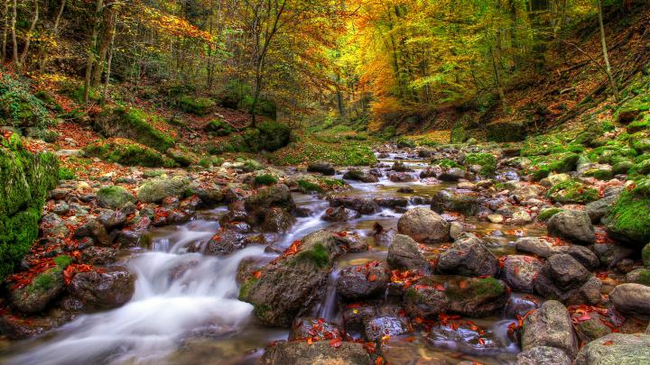 Beautiful Autumn Landscape Background Mountainous River Stone Forest 
