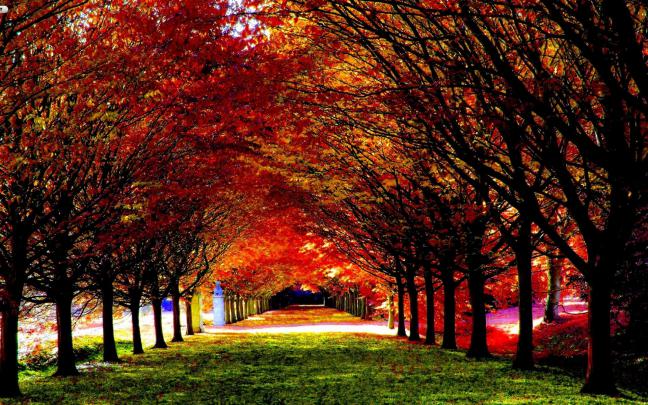 Beautiful Fall Backgrounds (50+ images)
