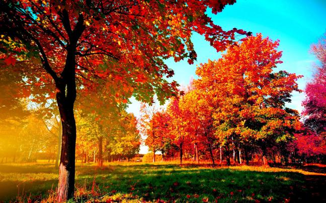 Desktop Background Fall \u00b7\u2460 