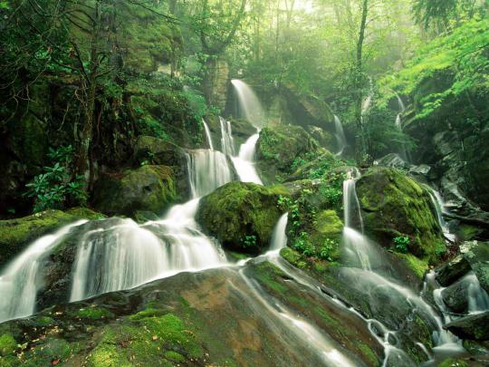 Hd Beautiful Nature Wallpapers Desktop backgrounds Free Download | Donpk