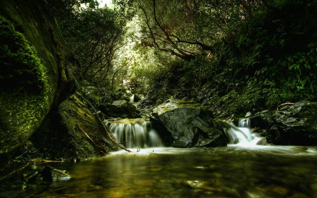Free Beautiful Wallpapers