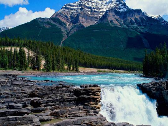 Delicately Beautiful Photo Nature Wallpapers For Your Desktop 