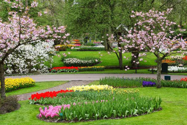 Spring Desktop Wallpaper HD free