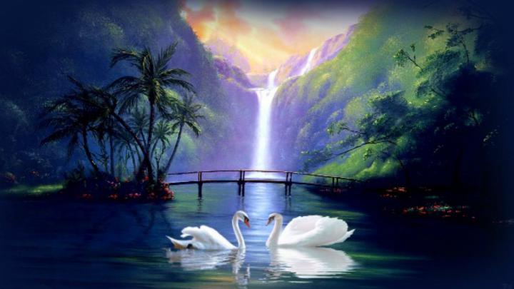 Swan Wallpaper (73+ images)