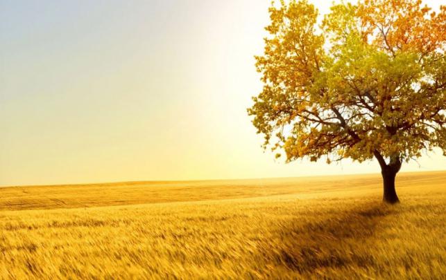 Free Wallpaper Pictures \/ Beautiful Free Summer Wallpaper Desktop 