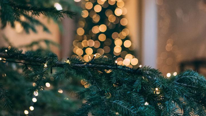 Download Christmas Wallpapers 4k - Christmas Wallpaper 2560 X 1600 