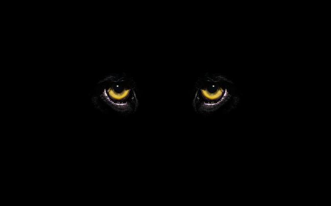 Wallpaper Insights: Black Panther HD Computer Wallpapers