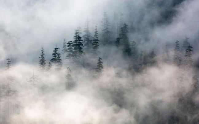 Cool 4k Desktop Wallpapers