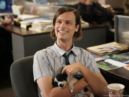 Spencer Reid Criminal Minds Wallpapers (35707764) Fanpop Desktop Background