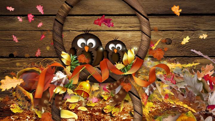 Cute Thanksgiving Backgrounds \u00b7\u2460 