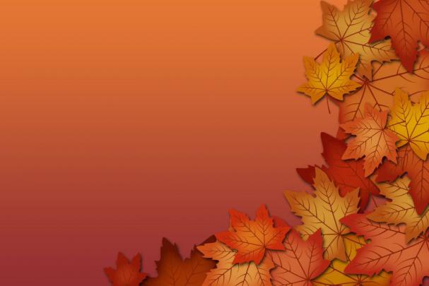 Cute Thanksgiving Backgrounds \u00b7\u2460 