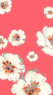 Cute Girly Desktop Wallpaper (54+ images)