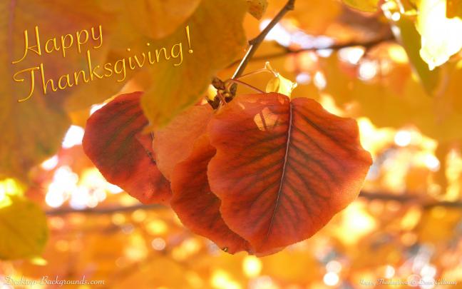 Cute Thanksgiving Wallpapers for Desktop (60+ images)