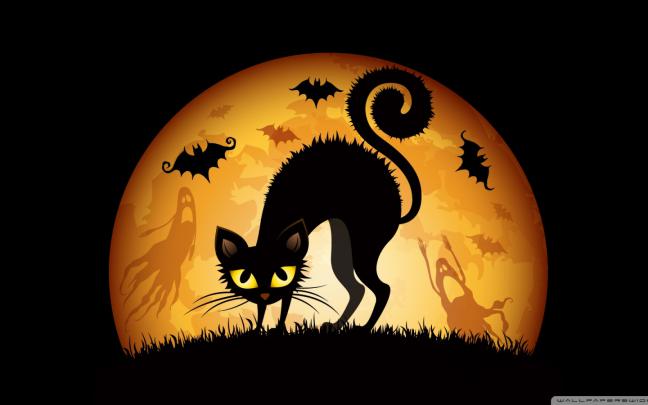 Free download Halloween 2012 Wallpaper 1920x1080 Halloween 2012 
