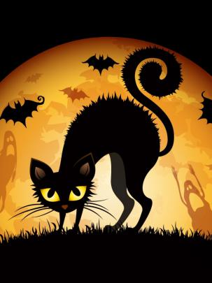 Free download Halloween 2012 Wallpaper 1920x1080 Halloween 2012 