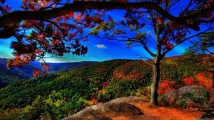 Free download Desktop Wallpapers HD Wallpapers 1080p 1920x1080 