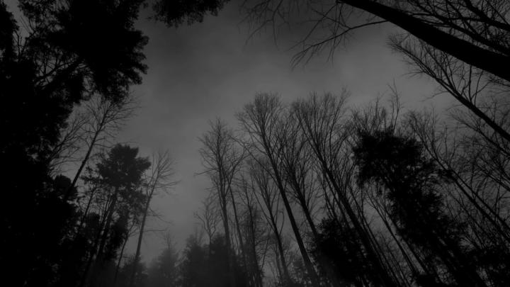49+ Aesthetic Tumblr backgrounds Black \u00b7\u2460 Download free cool HD 