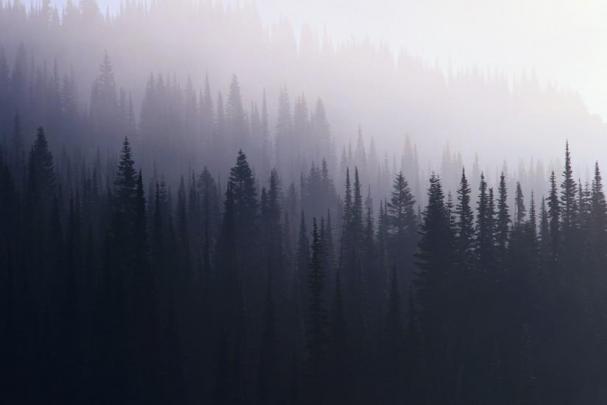 49+ Aesthetic Tumblr backgrounds Black \u00b7\u2460 Download free cool HD 