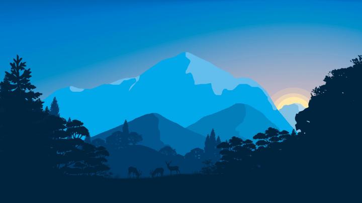 Sunset, 8K, Forest, 4K, Minimal wallpaper \u2022 Wallpaper For You HD 