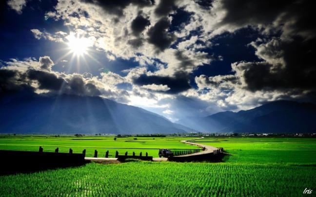 scenery paddy field - HD Desktop Wallpapers