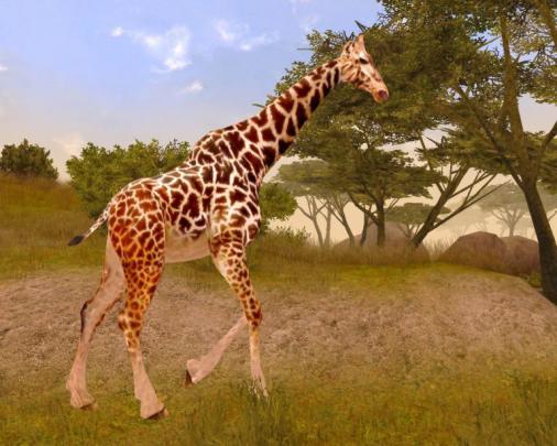african safari wallpapers - HD Desktop Wallpapers