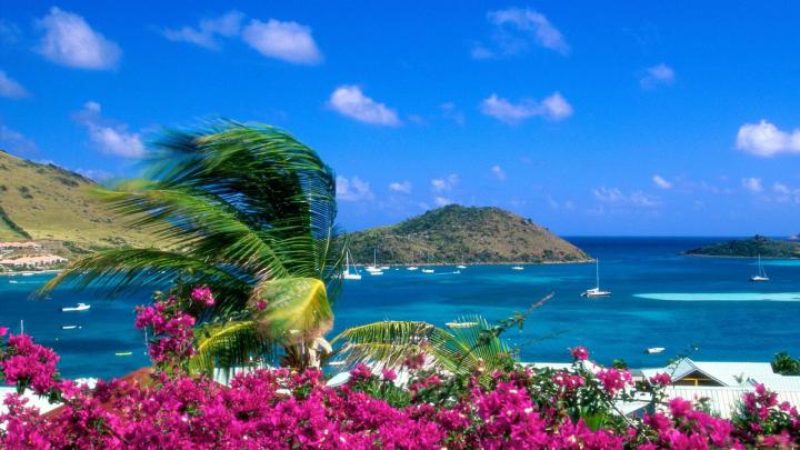High Definition Screensavers and Wallpapers (61+ images)