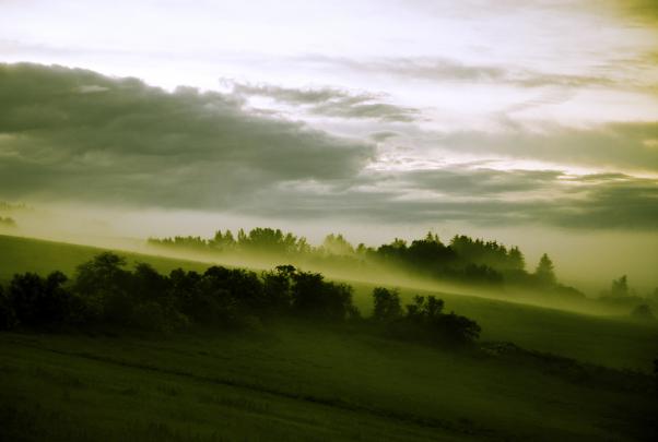 High definition desktop wallpaper of slope, photo of meadows, fog 